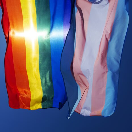 Eine Regenbogenfahne und eine Transgender-Fahne mit blauen, rosanen und weißen Streifen, hängen in der Sonne